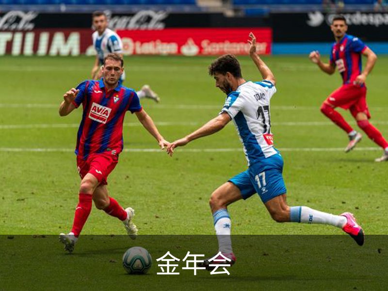 金年会简介